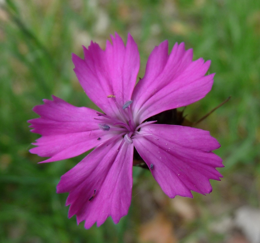 P1490827 r