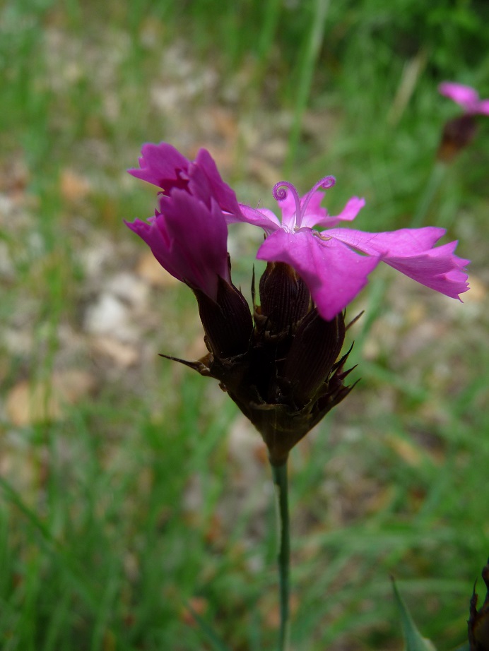 P1490829 r