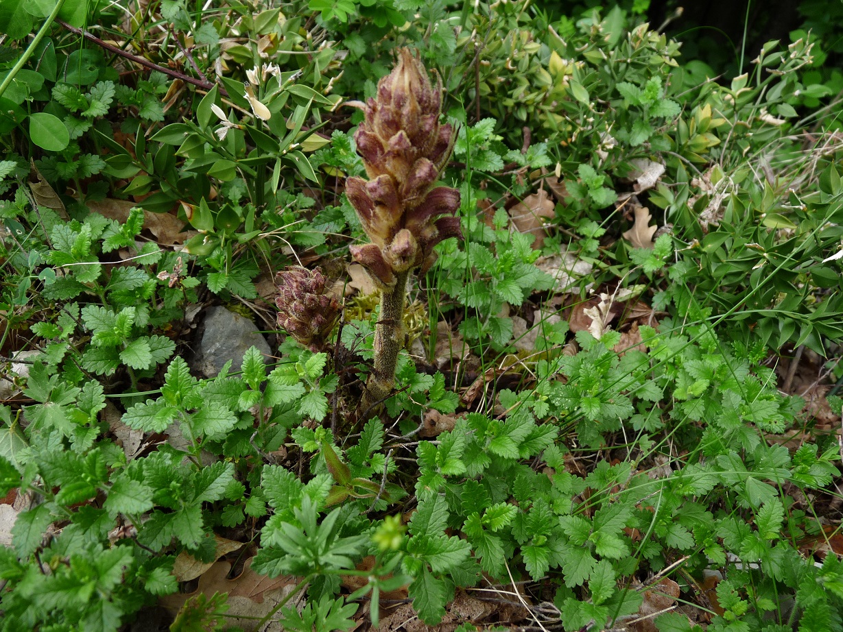 P1490834 r