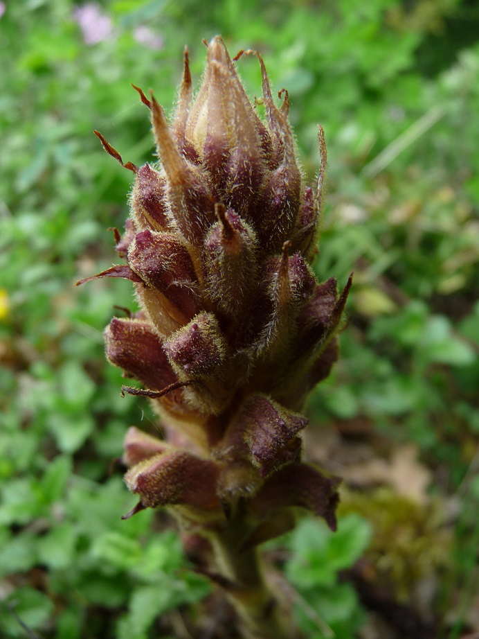 P1490835 r