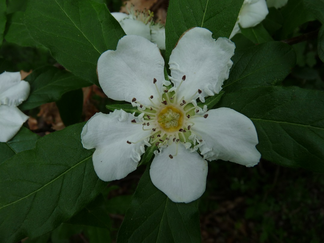 P1490837 r