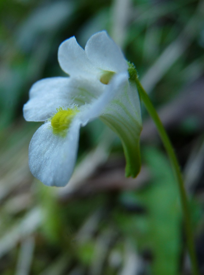P1500697 r