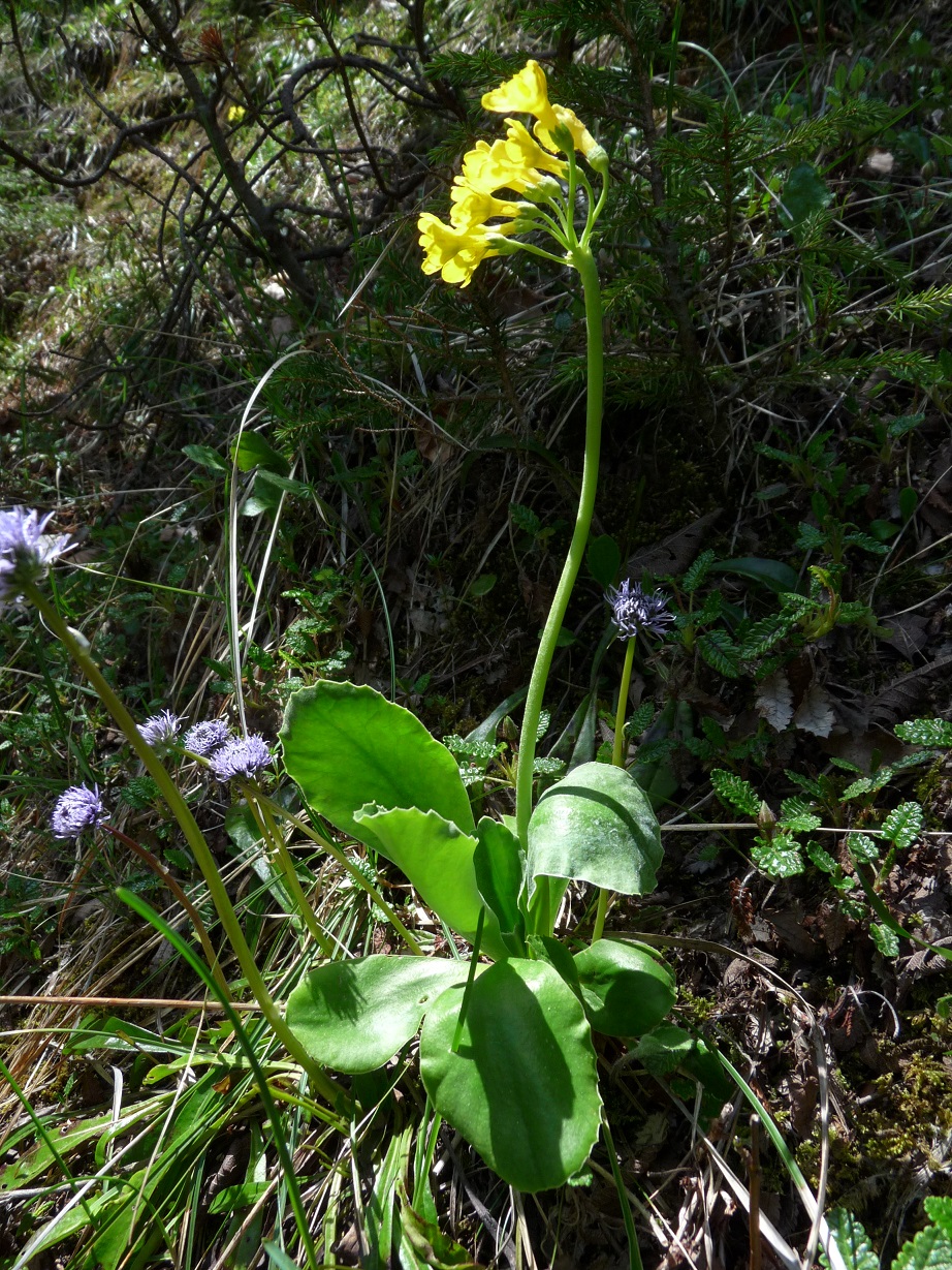P1500744 r