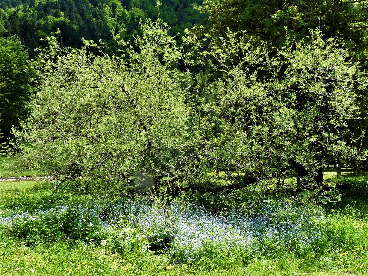 P1500793 r