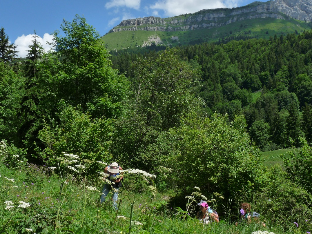 P1510989 r