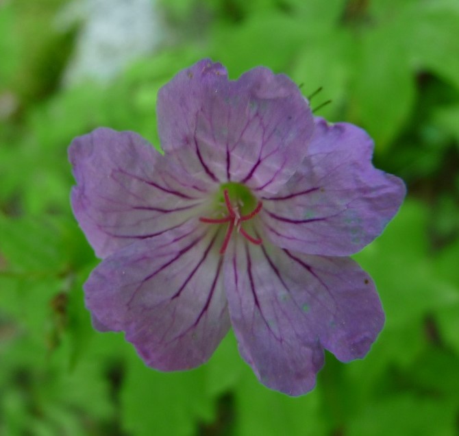 P1520023 r