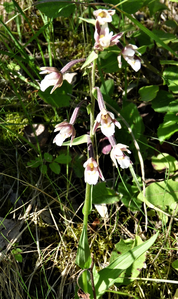 P1520184 r