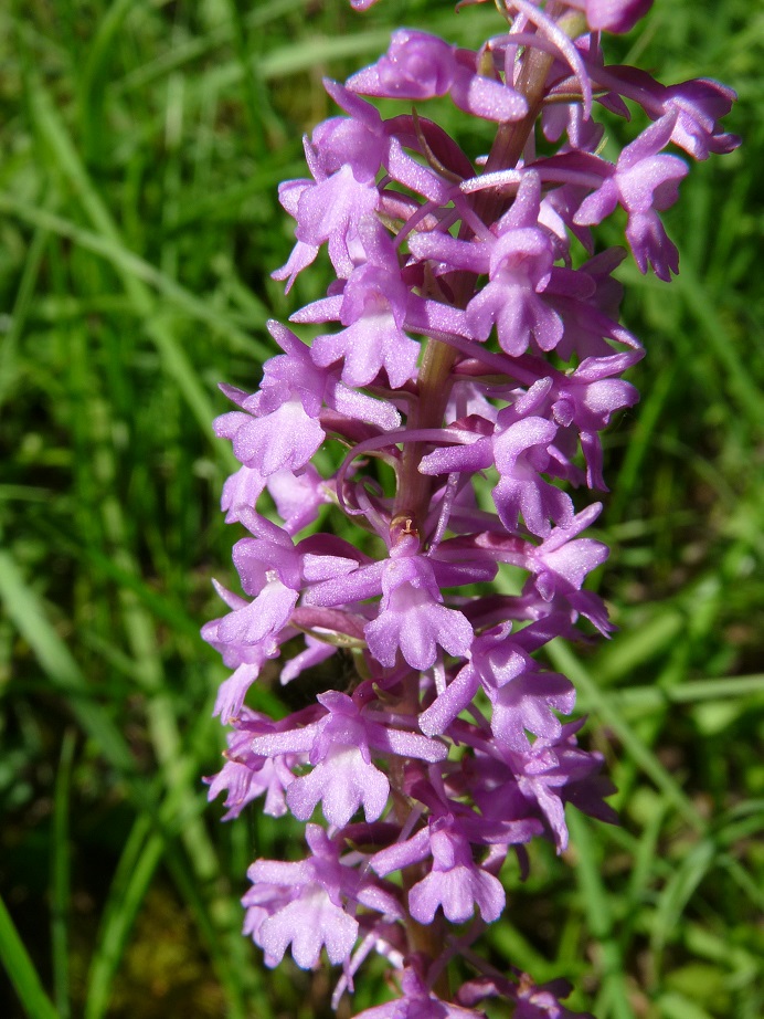 P1520208 r