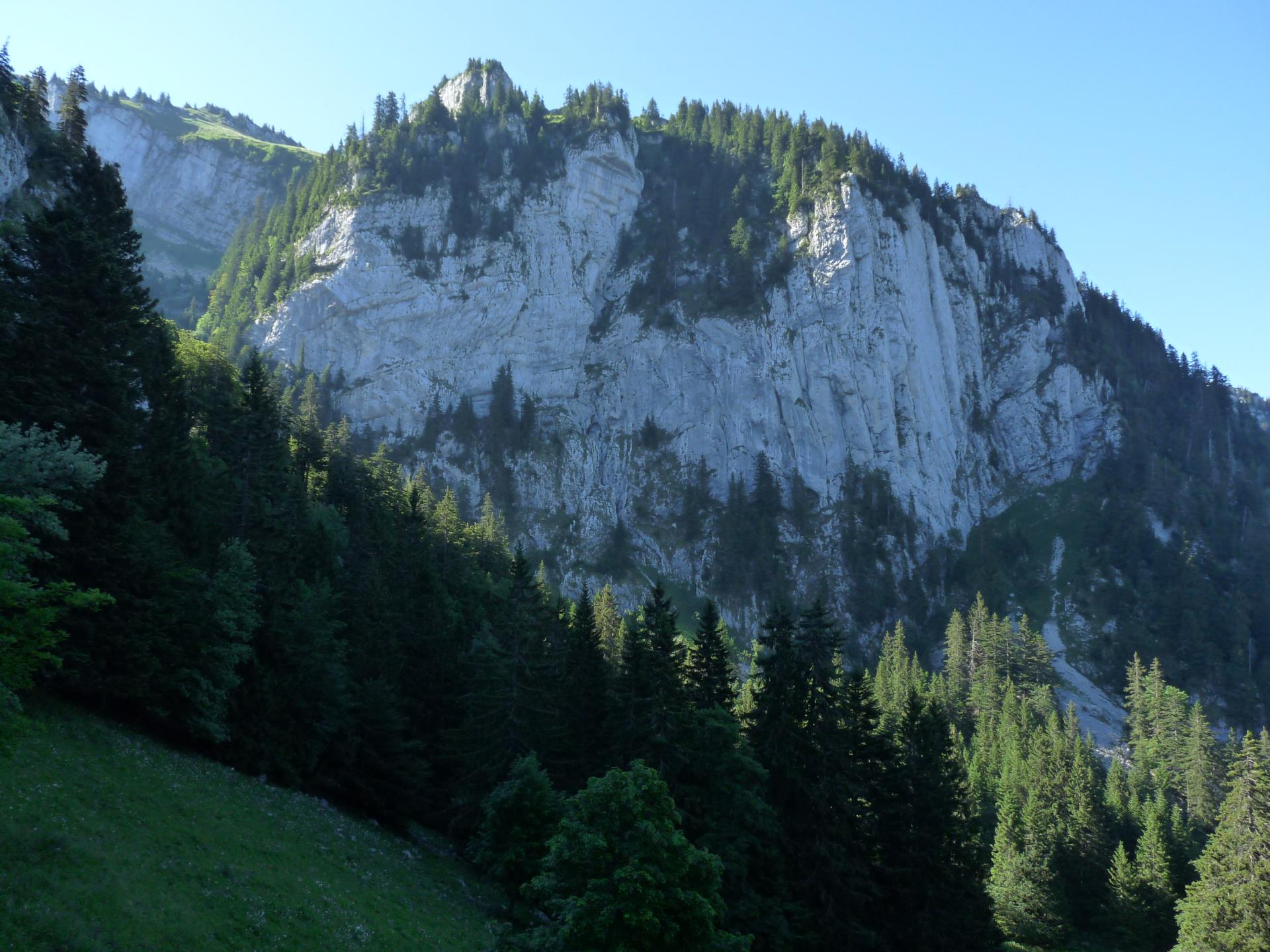 P1520513