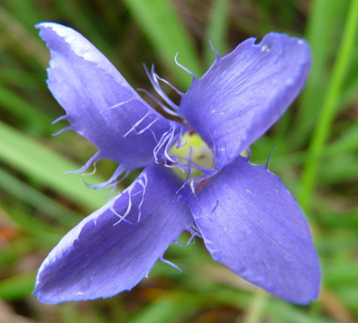 P1530462 r