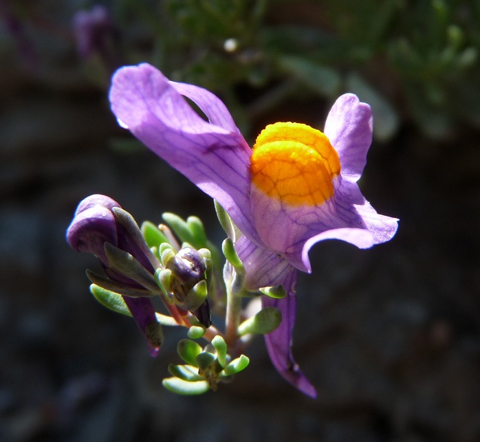 P1530555 r