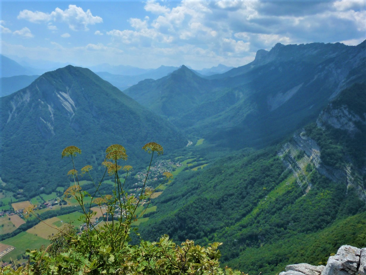 Pano 1